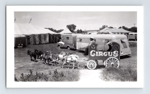 Fairyland circus 1962 - circus,