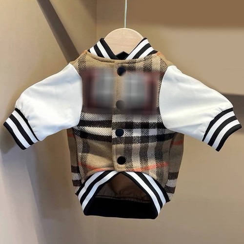 Luxury pet fashion - pet, dog