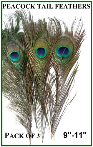 Pack natural peacock - pack, 3