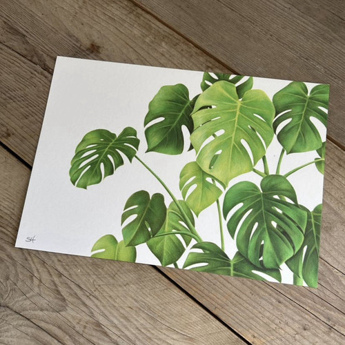 Monstera leaves botanical - monstera, art
