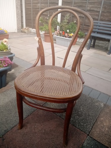 Antique cane bentwood - antique, chair