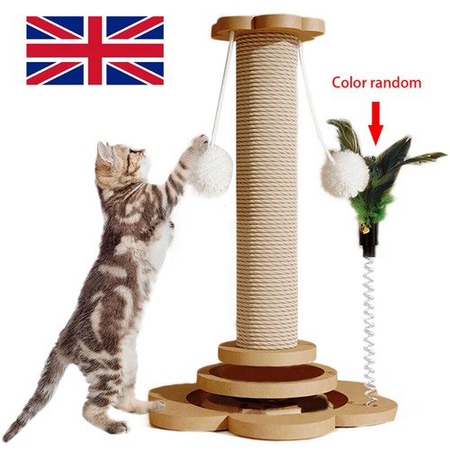 Tall large cat - tall,
