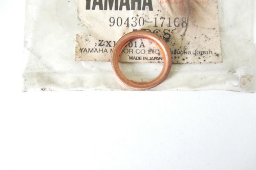Sealing ring screw