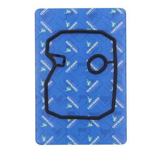 Centauro gasket valve cvr - cvr, ho
