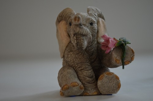 Tuskers elephant love is - ',