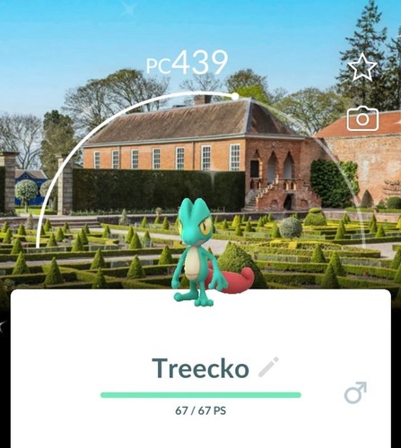 Shiny treecko bg hanbury - treecko,