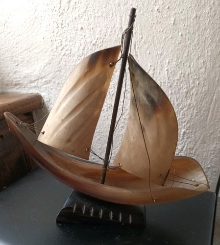 Vintage polished horn - vintage,