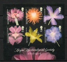 GB 2004 RHS/Orchids Miniature