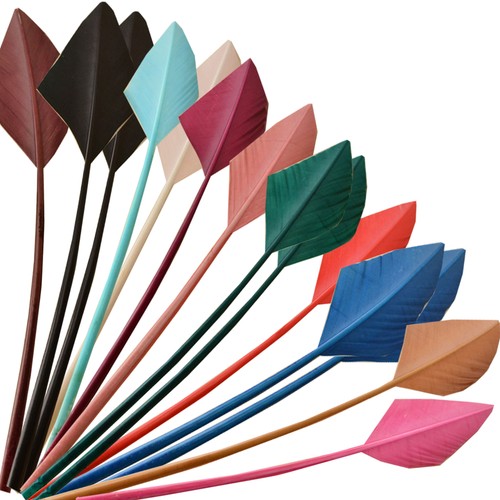 Loose turkey quill feathers - turkey,