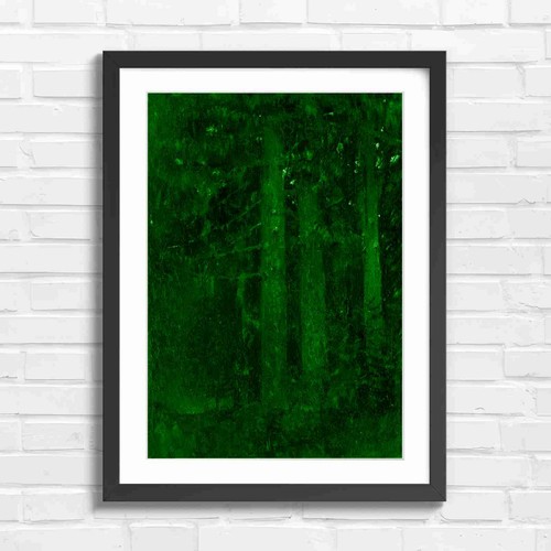 Dark forest tree trunks - trunks, nature
