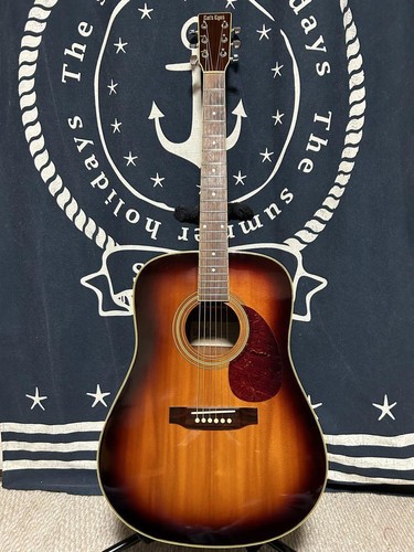 Tokai cat eyes acoustic - cat's,