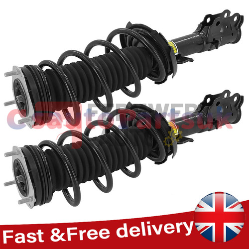 Shock absorber strut - strut, coil