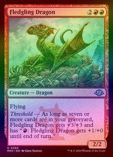 (MH3) Modern Horizons 3 - Foil