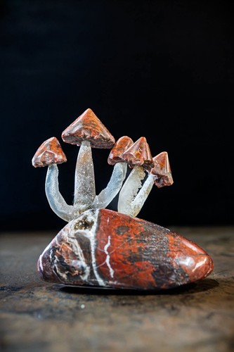 Jasper agate mushroom troop - agate,