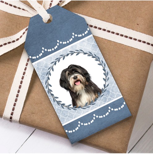Tibetan terrier dog blue - terrier,