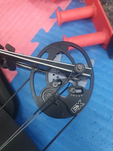 Hoyt with modules - with, 65%