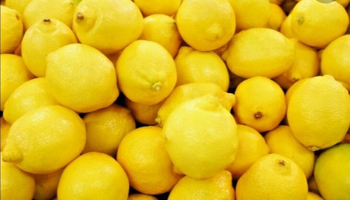 Very juicy lemon tree - 25,