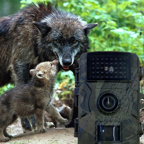 Trail camera mini with - trail,