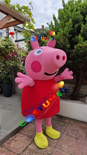 Hire peppa pig lookalike - pig,