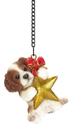 King charles spaniel puppy dog - king,