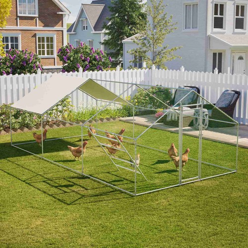 Chicken run cage walk pet - walk,