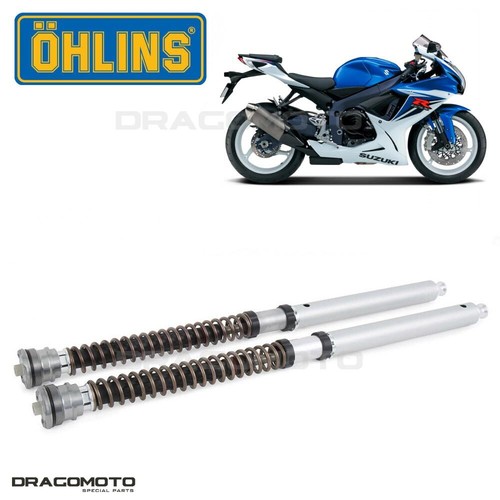 Suzuki gsx 600 - 600, 2011-2018
