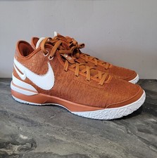 Nike Zoom LeBron NXXT Gen TB