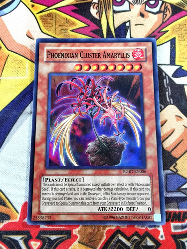 Phoenixian cluster amaryllis - phoenixian,