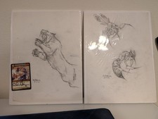 Preliminary Sketches - Tom