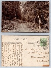 Rugeley, Cannock Chase, Staffordshire - RP Posted 1908
