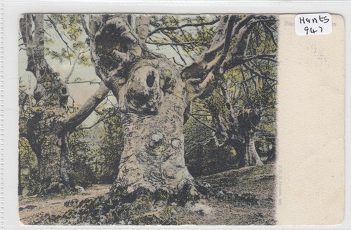 Buckinghamshire burnham - ,