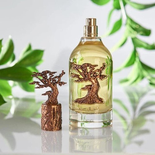 Eternal oud eau parfum - eternal,