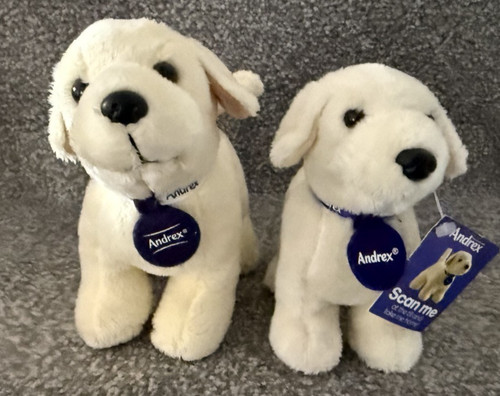 Andrex puppy puppies - puppy, 2