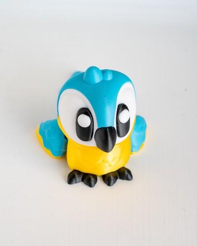 Cute eyes macaw - parrot, 3d