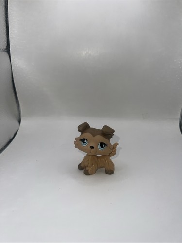 Littlest pet shop lps - shop, #893
