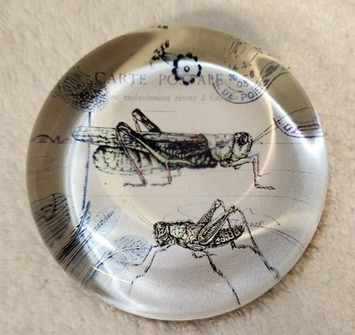 Grasshopper glass paperweight - glass,