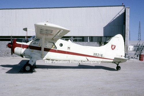 Omani air force dhc beaver - dhc-2,