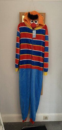 Sesame street ernie - sesame,