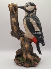 Vivid Arts Spotted Woodpecker