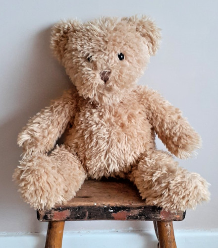 Beautiful cuddly teddy - beautiful, by
