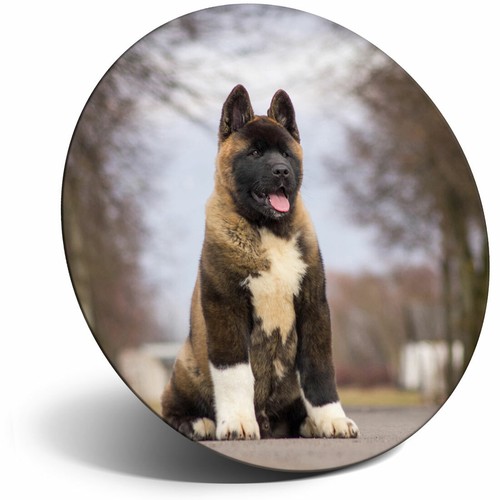 Awesome fridge magnet large - -,