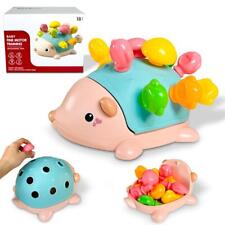 Kid Playset Blue Hedgehog