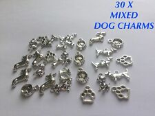 30 X TIBETAN METAL MIXED DOG