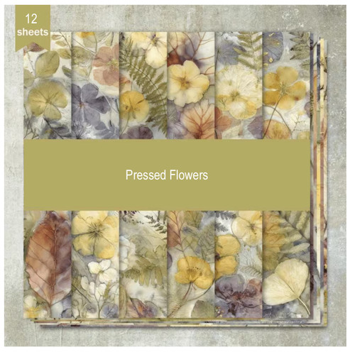 Pressed flowers craft - pressed, paper