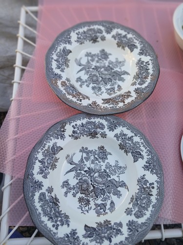 Antique enoch wedgwood - enoch,