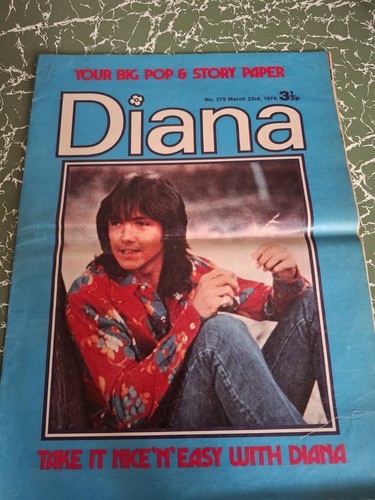 David cassidy cover - cover, vintage