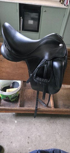 Fairfax gareth dressage - gareth,