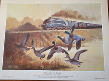 Alan Ward 'Mallard In Flight'