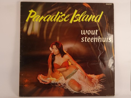 Steenhuis wout paradise - steenhuis,wout,