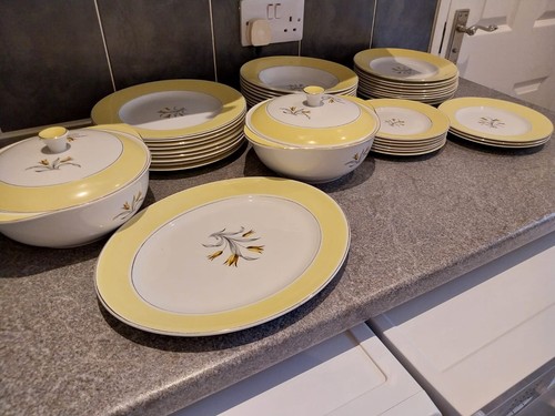 Beautiful burleigh ware dinner - beautiful,